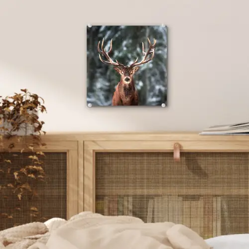 Hert - Winter - Sneeuw - Bos - Natuur - Dier plexiglas 5mm klein -sfeer4