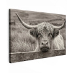Schotse hooglander - Zwart - Wit - Hout Tuinposter op houten frame 2 cm dik klein -3d