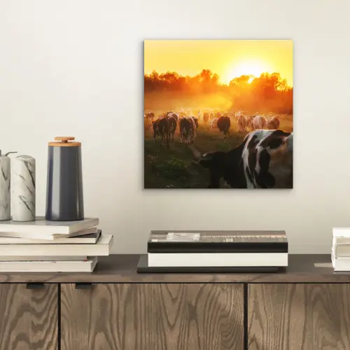 Koeien - Zonsondergang - Weiland - Dieren aluminium wit klein -sfeer1