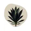 Agaveplant - Symmetrisch - Groen Wandcirkel Organisch Forex 3mm klein -3d