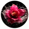 Bloemen - Roze - Water - Zwart - Botanisch - Natuur KitchenYeah - Keuken - Wandcirkel Forex klein -3d