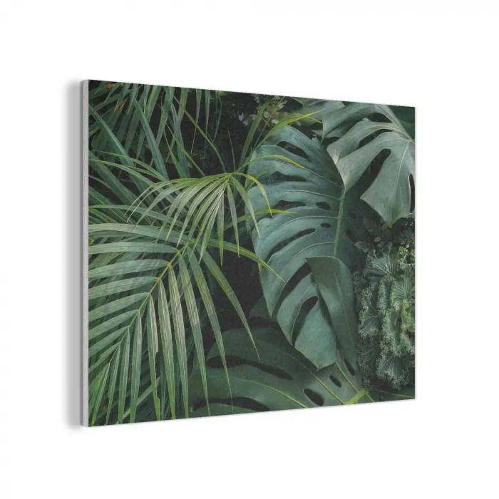 Planten - Jungle - Bladeren - Tropisch PET vilt klein -3d