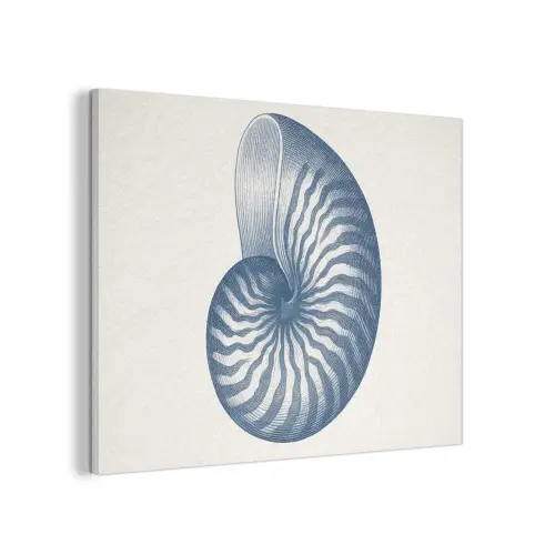 Blauw - Schelp - Spiraal PET vilt klein -3d