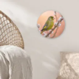 Groenling - Katjes - Lente - Natuur - Zacht Wandcirkel kunststof plaat 5mm dik klein -sfeer5