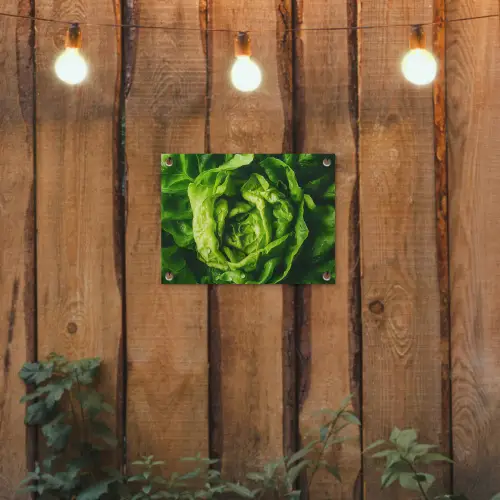 Groente - Sla - Groen tuinposter los doek klein -sfeer1