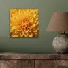 Geel - Chrysant - Zachtheid aluminium wit klein -sfeer2