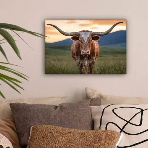 Longhorn - Landschap - Zonsondergang canvas 2cm klein -sfeer1