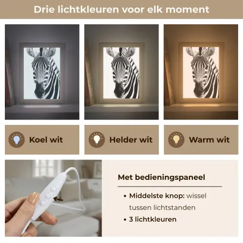 Zebra - Close-up - Zwart - Strepen Light Box met kabel (Tafellamp) klein -USP_lichtkleurNL