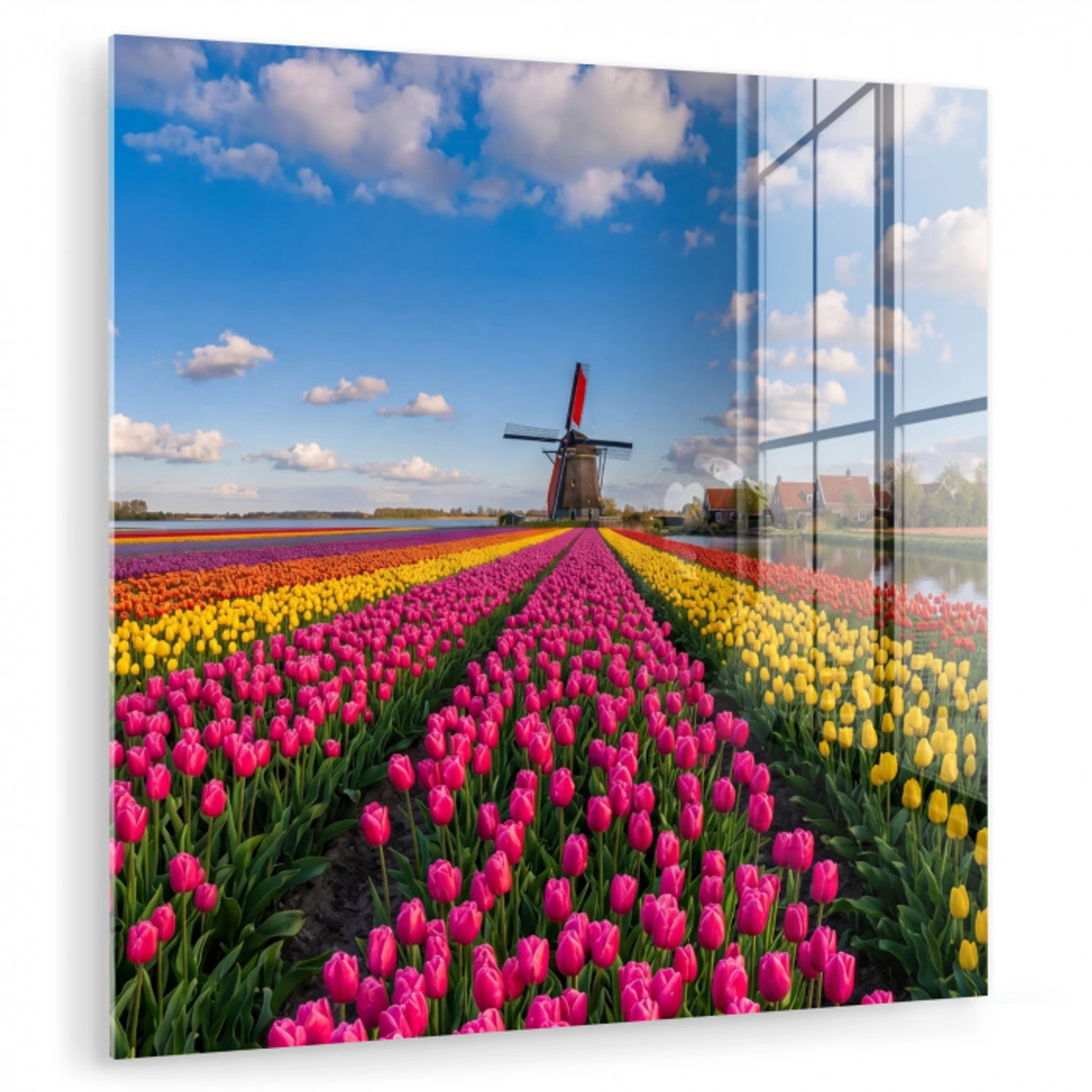 Tulpen - Holland - Molen - Kleurrijk plexiglas 5mm klein -zzzproduct_nieuw