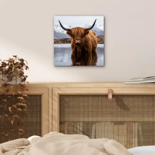 Schotse hooglander - Bruin - Water aluminium wit klein -sfeer3