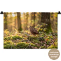Houtsnip - Bos - Bladeren - Herfst - Gecamoufleerd Wandkleed katoen klein -t3d_DE