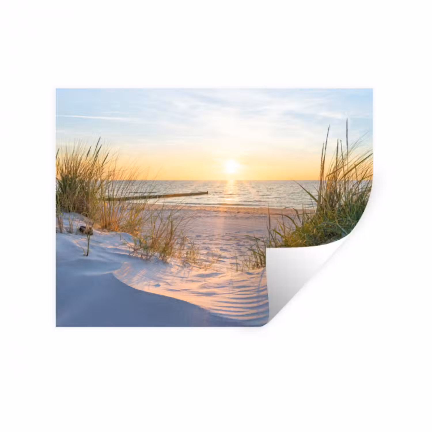 Wandtattoo – Strand - Sonne - Düne - Gras - Sand - Horizont