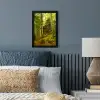 Bomen - Steen - Bos - Natuur - Planten fotolijst zwart zonder passe partout klein -sfeer3