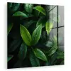 Bladeren - Regendruppels - Licht - Groen plexiglas 5mm klein -zzzproduct_nieuw