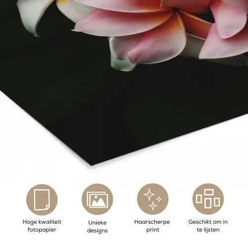 Bloemen - Roze - Zwart - Flora - Botanisch poster papier klein -closeup_NL