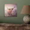 Schotse hooglanders - Licht - Lucht - Natuur aluminium wit klein -sfeer2