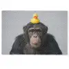 Chimpansee - Badeend - Grijs Deurmat klein -zkaufland3d