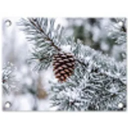 Dennenappel - Tak - Sneeuw - Winter - Sfeervol tuinposter los doek klein -3d