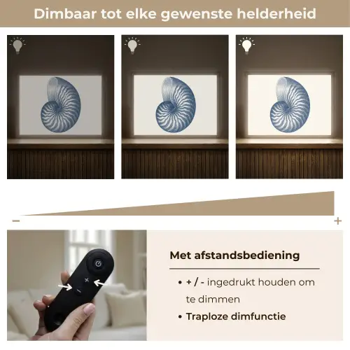 Blauw - Schelp - Spiraal Light Box met batterij (Wandlamp) middel -USP_dimbaarNL