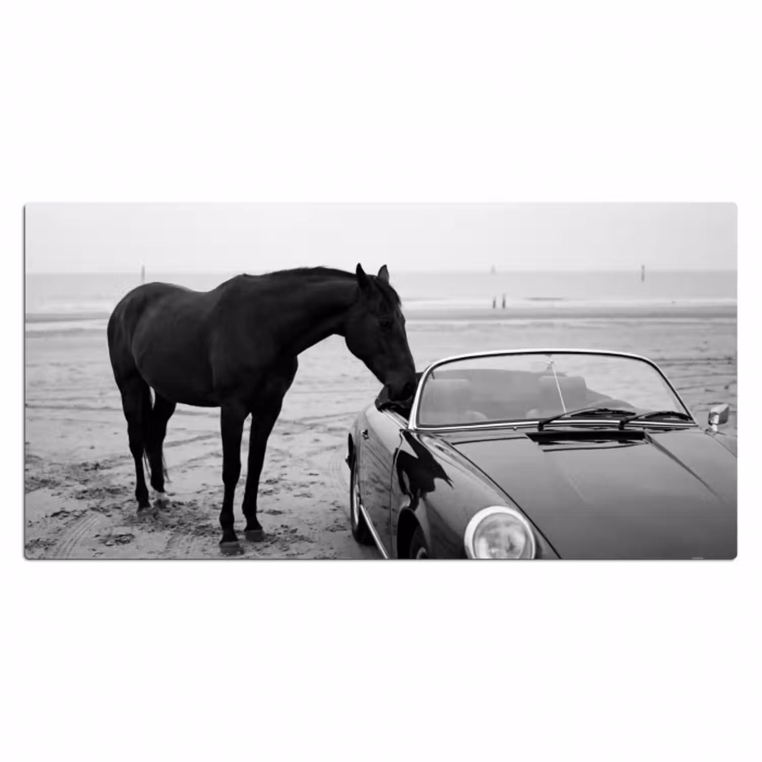 Schreibtischunterlage - Pferd - Auto - Schwarz - Weiß