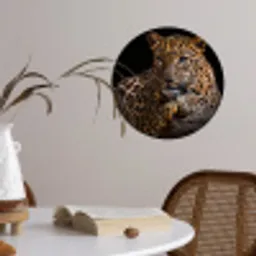 Wilde dieren - Panter - Portret - Zwart - Dieren Wandcirkel behangsticker klein -sfeer3