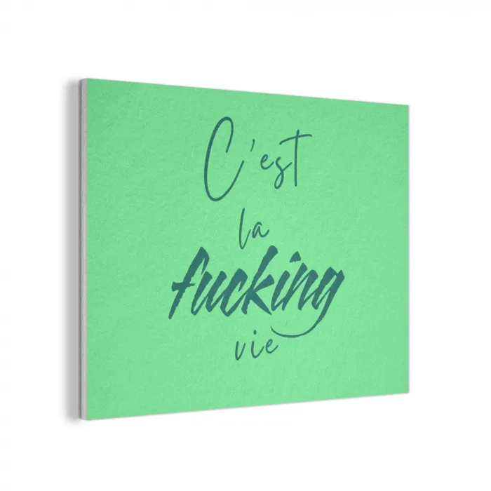 c'est la fucking vie - Groen - Penseelstijl PET vilt klein -3d