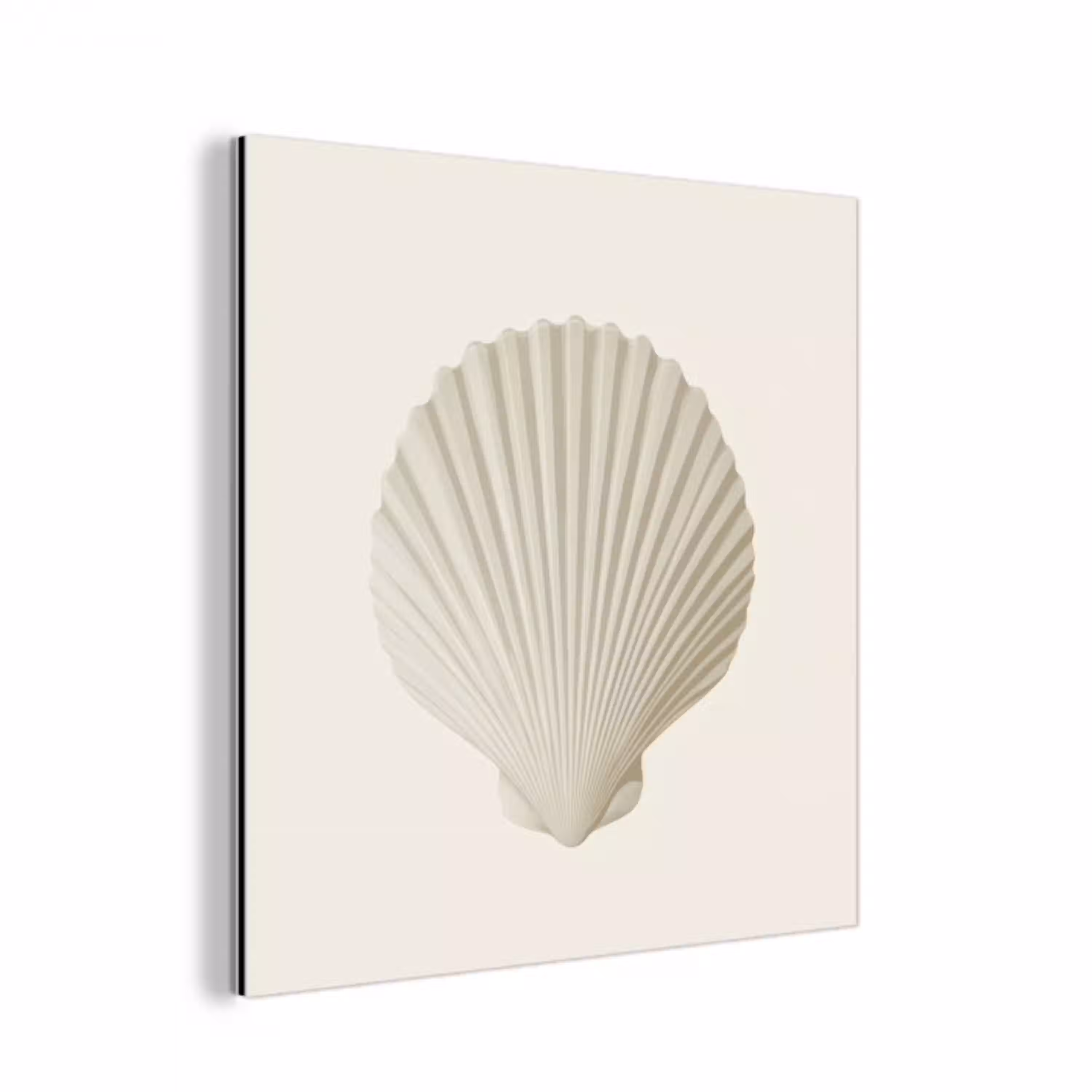 Schelp - Minimalistisch - Wit aluminium wit klein -3d