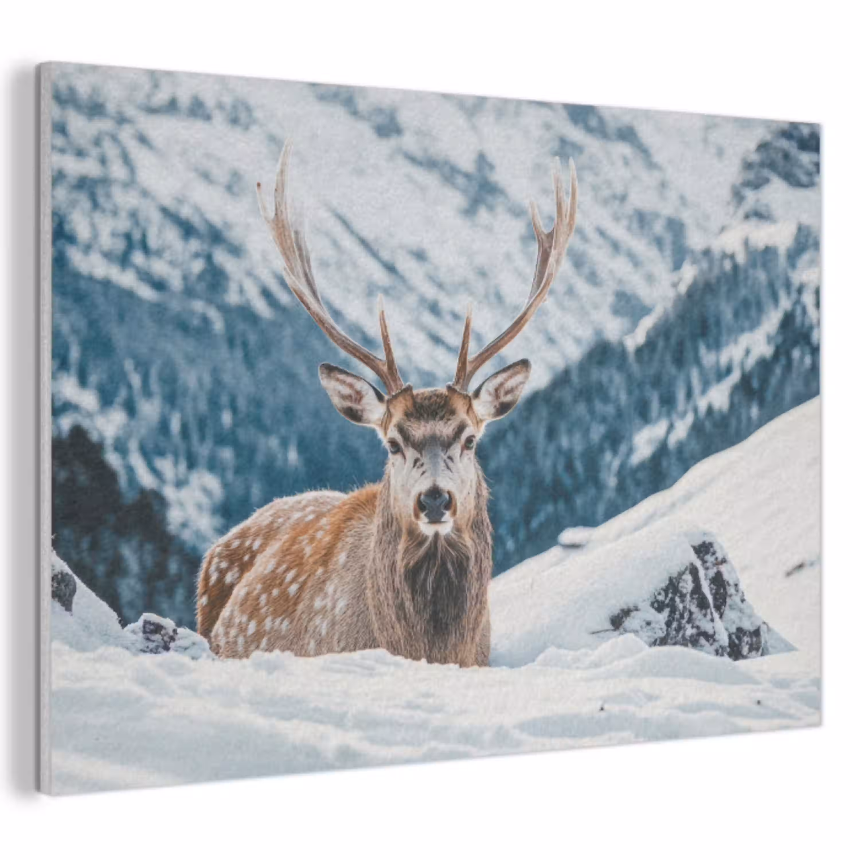 Hert - Landschap - Winter - Natuur - Dieren - Bergen PET vilt klein -3d