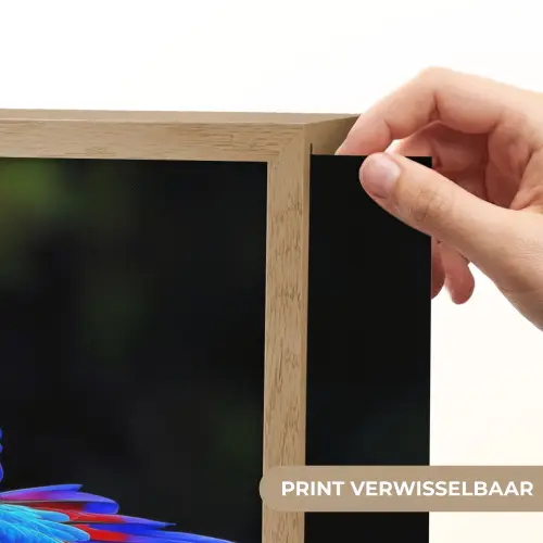 Felgekleurd - Papegaai - Bos - Vleugels Light Box met batterij (Wandlamp) middel -USP_websiteprintNL