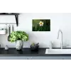 Narcis - Bloem - Wit - Grassprieten Muursticker klein -keuken