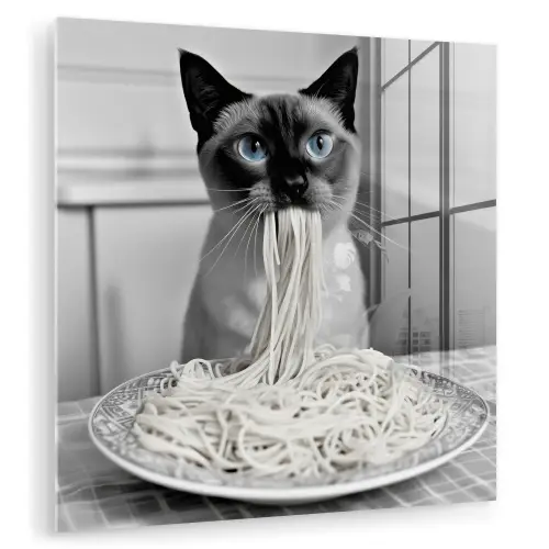 Kat - Siamees - Zwart Wit - Schattig - Dieren plexiglas 5mm klein -zzzproduct_nieuw