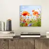 Bloemen - Klaproos - Lente - Natuur - Rood - Blauw aluminium wit klein -sfeer1