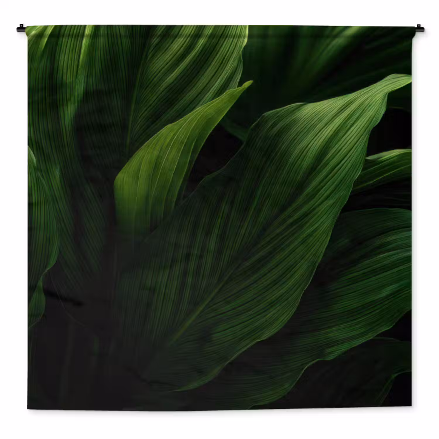 Wandkleed - Bladeren - Schaduw - Groen - Textuur