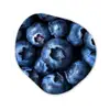 Bessen - Blauw - Fruit Wandcirkel Organisch Plexiglas middel -3d