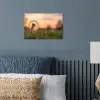 Paardenbloem - Zonsondergang - Veld poster papier klein -sfeer2