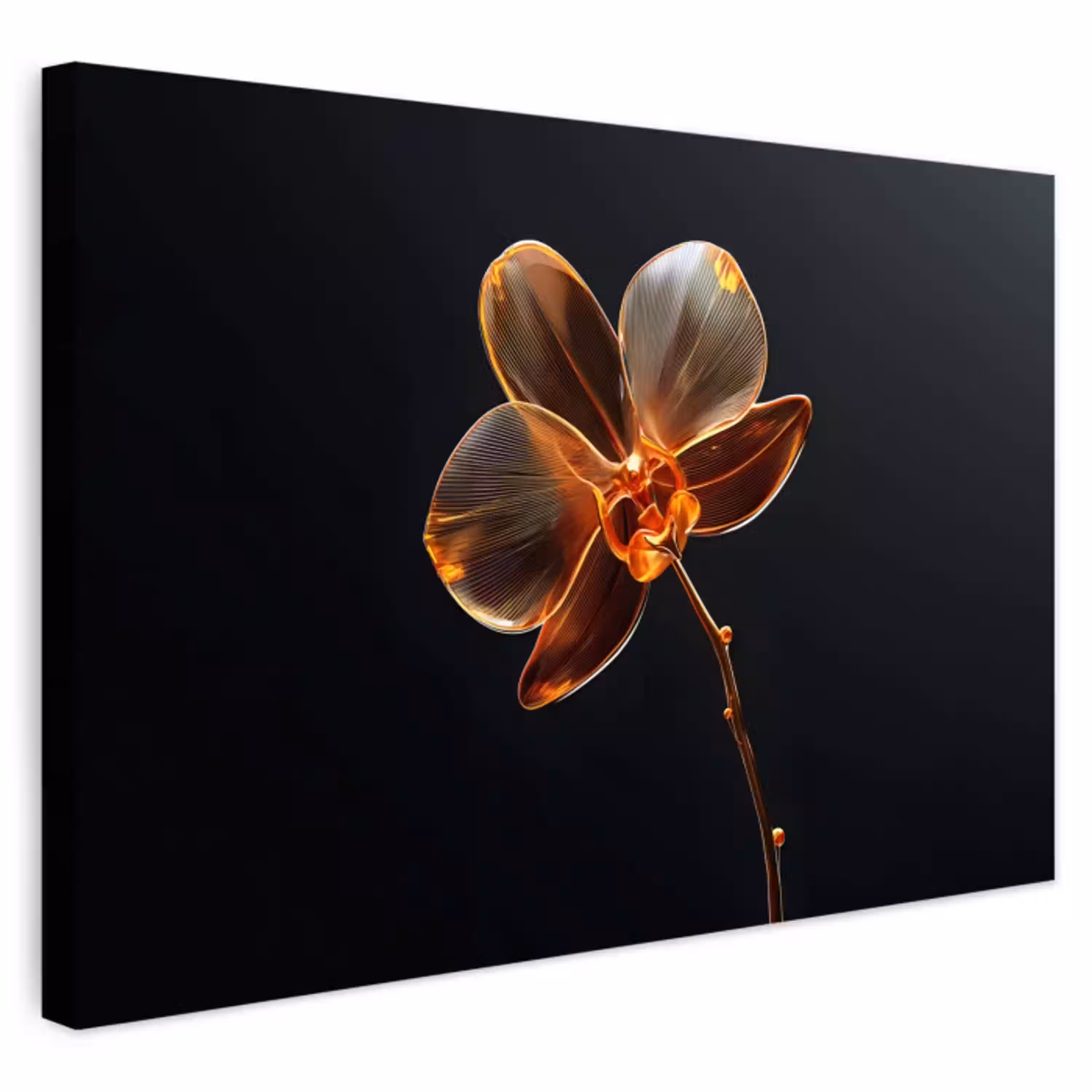 Orchidee - Doorzichtig - Bloem Tuinposter op houten frame 2 cm dik klein -3d