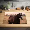Paard - Zonsondergang - Bruin Inductie beschermer vinyl 3mm klein -sfeer5