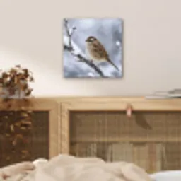 Vogel - Tak - Sneeuw - Winter aluminium wit klein -sfeer3