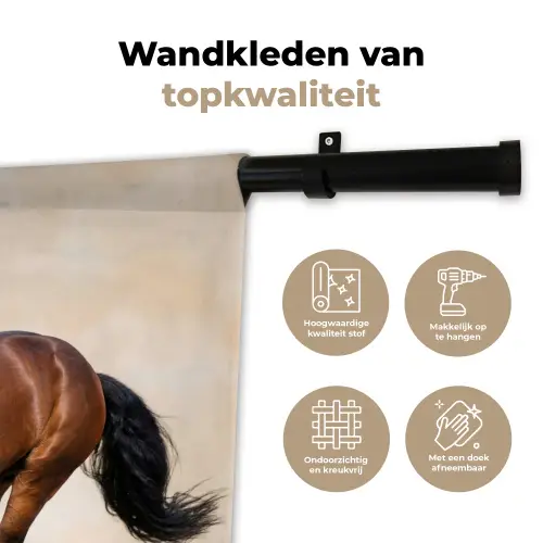 Paard - Galop - Energie Wandkleed katoen klein -sfeer2