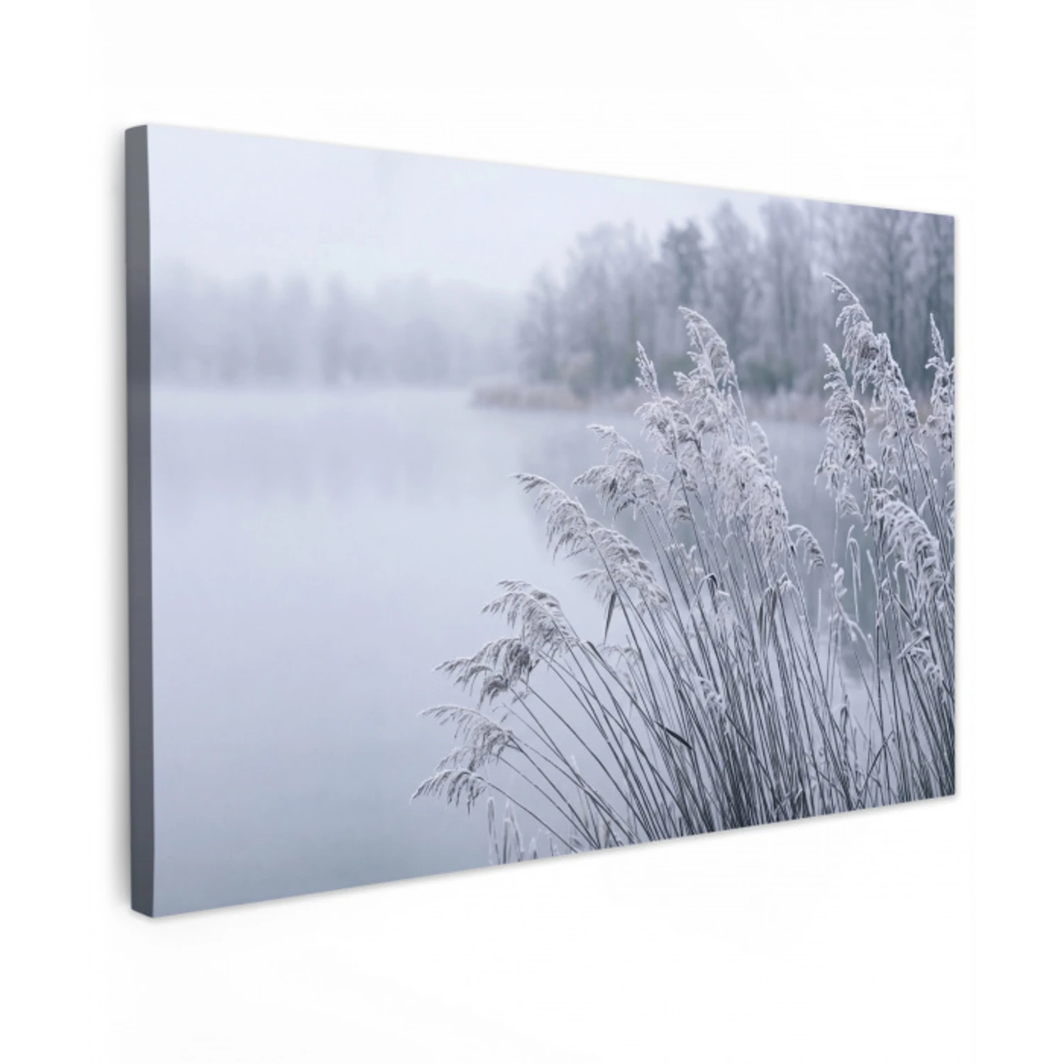 Riet - Bevroren - Winter - Natuur canvas 2cm klein -z3d