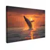 Walvis - Zon - Zee canvas 2cm klein -z3d