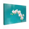 Orchidee - Bloemen - Plant - Wit - Paars Tuinposter op houten frame 2 cm dik klein -3d