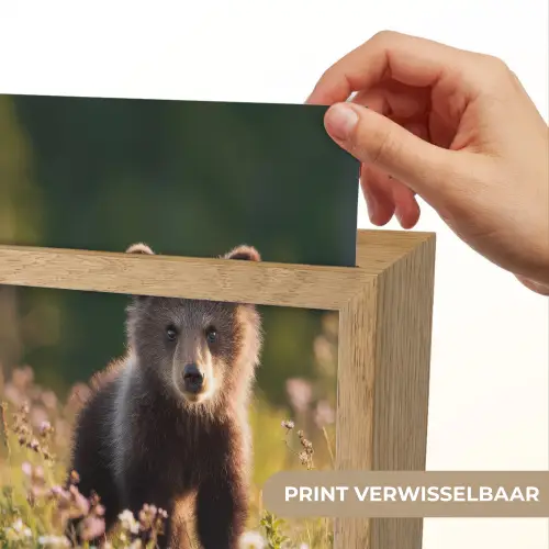 Beer - Bloemenveld - Gras Light Box met kabel (Kinderlampje) klein -USP_websiteprintNL