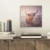 Schotse hooglanders - Licht - Lucht - Natuur aluminium wit klein -sfeer1