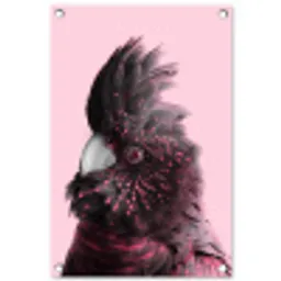 Kaketoe - Vogel - Roze tuinposter los doek klein -3d
