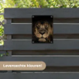 Leeuw in het schaduwlicht tuinposter los doek klein -sfeer3
