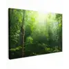 Jungle - Zonlicht - Groen - Meisjes - Kinderen - Jongens canvas 2cm klein -z3d