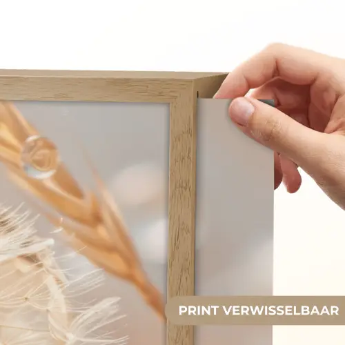 Paardenbloem - Water - Natuur - Stilleven - Modern Light Box met batterij (Wandlamp) middel -USP_websiteprintNL