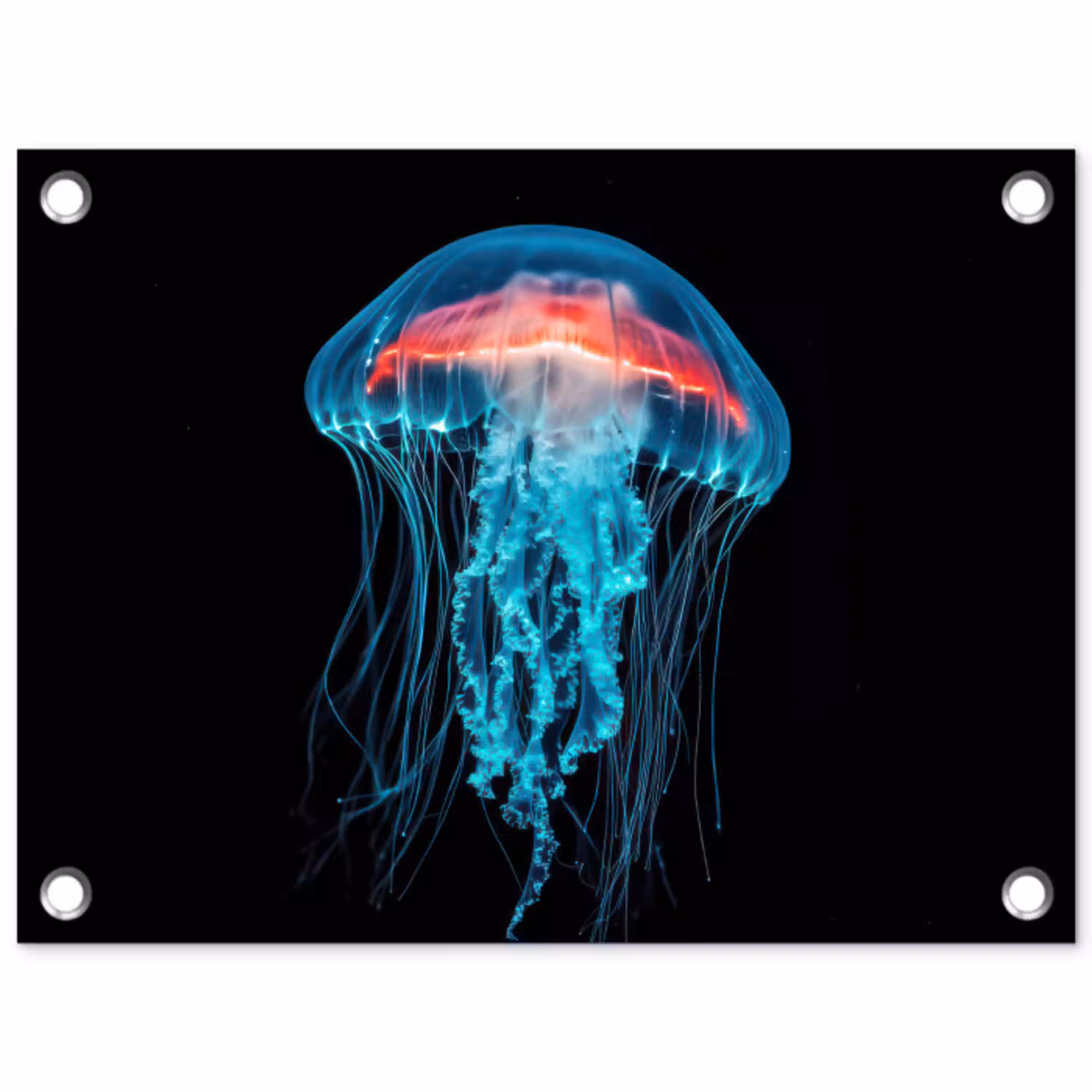 Kwal - Tentakels - Blauw - Licht tuinposter los doek klein -3d