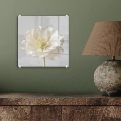 Bloem - Minimalistisch -Wit plexiglas 5mm klein -sfeer3